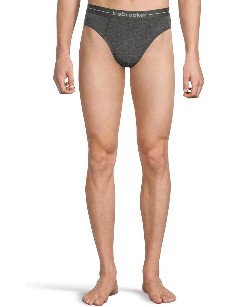 Gray Icebreaker Anatomica Brief