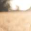 @hulang1024