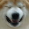 @Mik3Bot