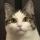 @chrisvest