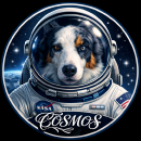 @theCosmos89-projects