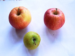 домаће и дивља јабука