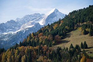 15. Platz: Cdling Neu! mit Alpspitze im Wettersteingebirge mit Blick vom Weg auf die Eckbaueralm, LSG „Wettersteingebiet einschließlich Latschengürtel bei Mittenwald“
