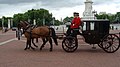 Una Clarence dei Royal Mews, trainata da una coppia di cavalli Cleveland Bay, vicino al Victoria Memorial, Londra (la Clarence è una carrozza a due cavalli più grande della Brougham)