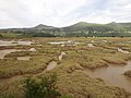 Image 22Salt marshes (from Marine ecosystem)