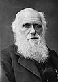 Charles Darwin mangiava gli animali, basterebbe solo questo a descriverlo. Simpatico perchè ha fatto cose che altri non farebbero mai, puoi come me amava gli animali... LETTERALMENTE.