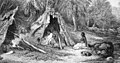 Image 7Indigenous Australian camp by Skinner Prout, 1876 (from History of agriculture)