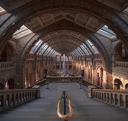 Central hall of the Natural History Museum, London.