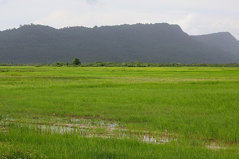 File:Nature of Cambodia. Ream National Park. Tropical rain season.jpg