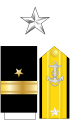 JAV Karinio jūrų laivyno jaunesniojo kontradmirolo žvaigždė, antpetis ir rankovės antsiuvai.