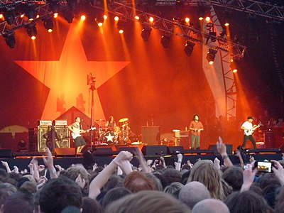 Detalj sa koncerta u avgustu 2010. godine