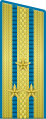 Per Truppe aerotrasportate, Forze aeree, Aviazione della Difesa aerea (1955-1994), poi nuovamente dal 2010