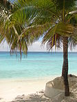 Maldiverna har många vita stränder