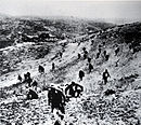 לוחמים ערבים - פלסטינאים לא סדירים עולים על הקסטל במתקפת הנגד בלילה של יום 7 באפריל 1948.