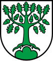 Quercia sradicata (Bergdietikon, Svizzera)