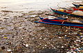 Image 61 Mudflat pollution (from Marine habitat)