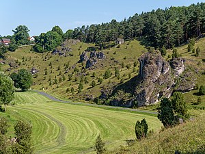 32. Platz: Ermell mit Kleinziegenfelder Tal, Naturschutzgebiet „Wacholderhänge bei Kleinziegenfeld“, Landkreis Lichtenfels, Bayern
