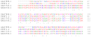 Sequence alignment; salah satu aplikasi dasar bioinformatika. Sekuens biologis yang dianalisis dalam hal ini adalah sekuens asam amino dari empat protein hemoglobin.