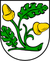 Ramo di quercia di verde, ghiandifero d'oro di due pezzi (Großniedesheim, Germania)