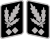 Obergruppenführer i Generał Waffen-SS