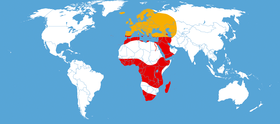 Bản đồ phân bố (đỏ: phân bố quanh năm; màu cam: khả năng phân bố mùa hè)