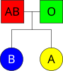 AB, O பெற்றோருக்கான பொதுவான ABO பாரம்பரியம்