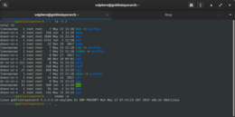 Screenshot di GNOME Terminal