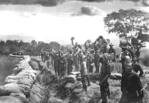 Американские солдаты после капитуляции испанских войск в Сантьяго-де-Куба. Куба, 1898