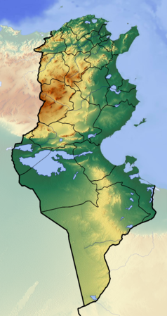 Mapa konturowa Tunezji, blisko górnej krawiędzi nieco na prawo znajduje się punkt z opisem „miejsce bitwy”