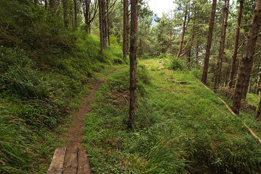 El sendero Orquidea de Fuego, cerca a Baños, provincia de Tungurahua, Ecuador The Orquidea de Fuego trail, close to Baños, Tungurahua province, Ecuador