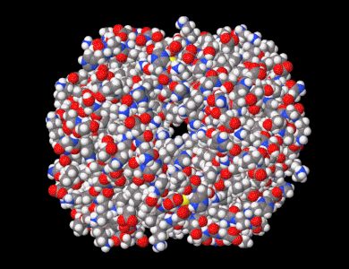 Représentation de l'hémoglobine avec tous les atomes. (7dy3).