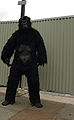Karnavalinis gorilos kostiumas