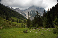 98. Platz: Huhu19 Neu! mit Ramsauer Dolomiten in der Reiter Alm im Nationalpark Berchtesgaden.