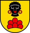 Testa di donna in maestà (Möriken-Wildegg, Svizzera)