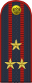 Distintivo di grado da colonnello di Polizia della Federazione Russa (dal 2013)