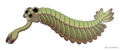 Image 60 Opabinia, an extinct stem group arthropod appeared in the Middle Cambrian (from Marine invertebrates)