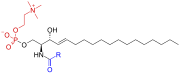 sfingomielina, con le unità strutturali messe in evidenza. nero: sfingosina rosso: fosfocolina blu: acido grasso
