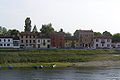Pavia
