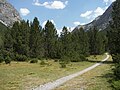 Tra Italia e Svizzera: panorama in Val di Mora