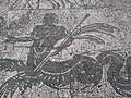 Detail of the mosaic in frigidarium C, Terme dei Cisiarii