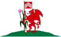 Cardiff – Bandiera