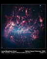 Grandi complessi nebulosi avvolgono la Grande Nube di Magellano.