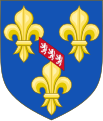 Francia moderna brisata da un bastone (Borbone-Vendôme)