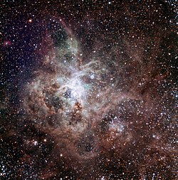 Prima luce di TRAPPIST : la Nebulosa Tarantola nella Grande Nube di Magellano