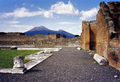 The Forum of Pompeii with the Vesuvius in the background