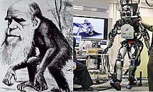 Photo noir et blanc, à gauche, montrant un singe dont la tête est celle d'un vieil homme barbu. À droite : photo d'un robot de face, à côté d'un d'ordinateur, posé sur une table.