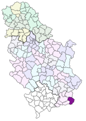 Bosilegrad – Mappa