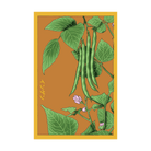 Green Beans seed packet - Shido Seeds non-GMO vacuum-sealed woodblock design